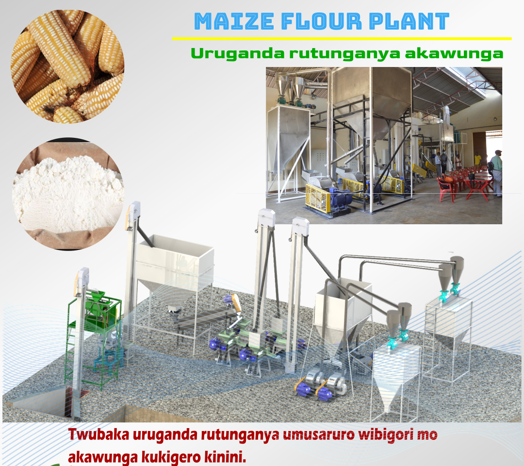 Maize Flour Plant
