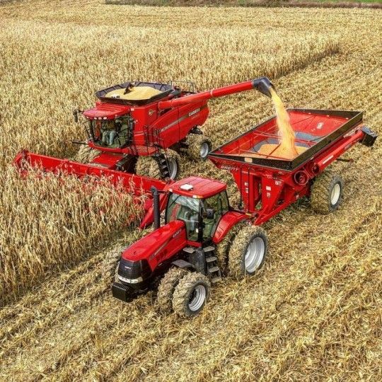Maize Sheller Electric [Sample]